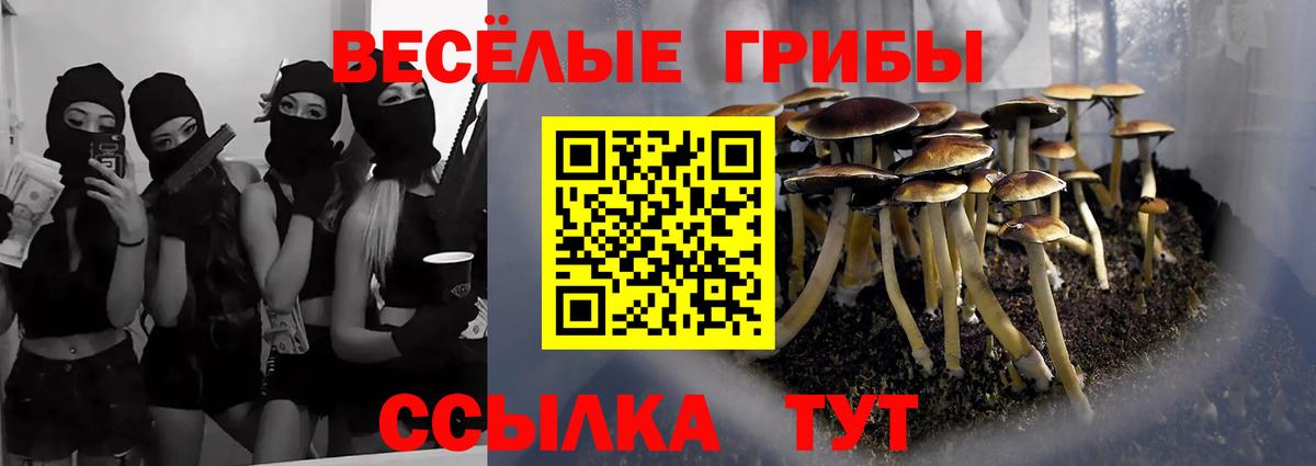 Псилоцибиновые грибы Cubensis  цены   Усолье-Сибирское  Вход с VPN  Галлюциногенные грибы GOLDEN TEACHER 